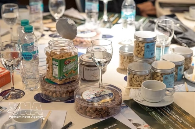 Việt Nam targets Argentina to boost cashew exports