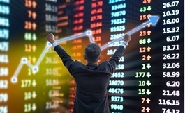 MSN, MSB và DXP có gì hấp dẫn?