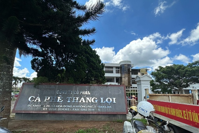 Cà phê Thắng Lợi sắp chi gần 13 tỷ trả cổ tức 2025