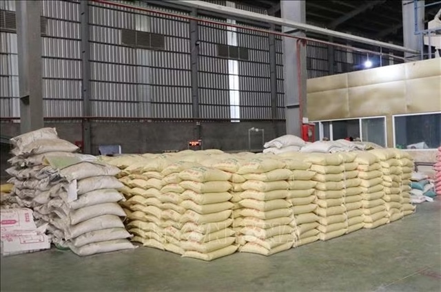 China becomes Việt Nam’s second-largest rice export market