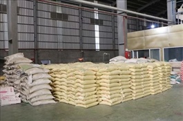 China becomes Việt Nam’s second-largest rice export market