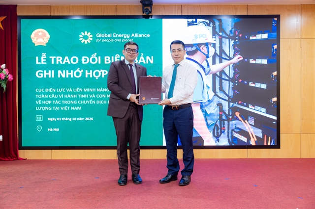 Energy transition task force meets to advance Vietnam's grid and storage