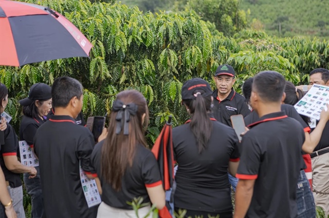 ILO's WIND approach brings safer coffee farming to Vietnam