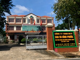 Cao su Bình Phước được thuê hơn 265ha đất rừng sản xuất tại Đồng Nai
