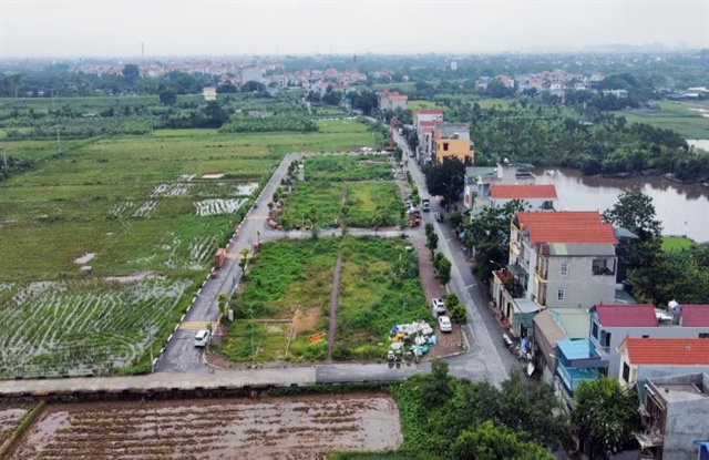 Quy định thế nào là đất bỏ hoang, bị đánh thuế?