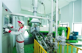Talent and skills take centre stage in Hà Nội's growth strategy