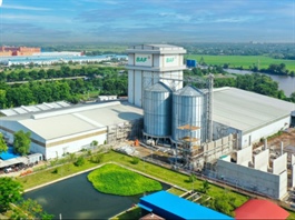 BAF chốt ngày chào bán 40.54 triệu cp và phát hành ESOP