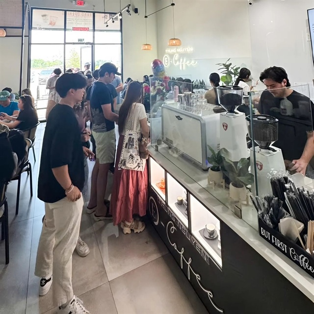 Enterprises should promote development of Vietnamese brands in overseas markets