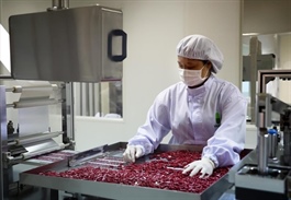 Việt Nam aims for pharmaceutical self-reliance, security