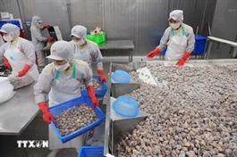 Củng cố nguồn nguyên liệu, hướng tới xuất khẩu thủy sản 12 tỷ USD