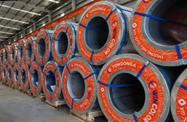Tôn Đông Á được chấp thuận niêm yết trên HOSE