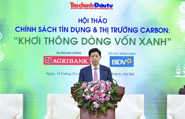 Vietnam’s carbon market needs a strong financial ecosystem to unlock green capital