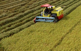 Green credit and carbon market critical to boosting climate finance
