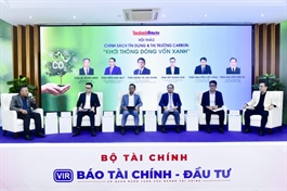 Green transition requires realistic roadmap