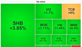 Nhịp đập thị trường 16/10: Cổ phiếu vốn hoá lớn kéo VN-Index tràn sắc xanh, SHB dẫn sóng ngân hàng
