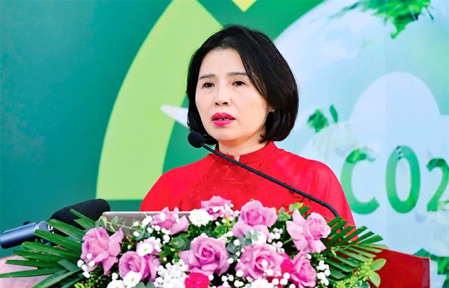 Carbon finance hinges on viable ventures