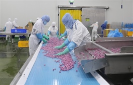 Agricultural firms struggle to secure long-term financing despite preferential credit