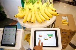 Ministry eyes data architecture as quality becomes key to deeper digital transformation
