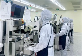 Tech sector growth opens up opportunities for Việt Nam to go global