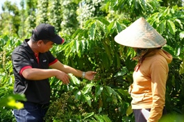 Vietnam’s coffee industry faces value-add challenge