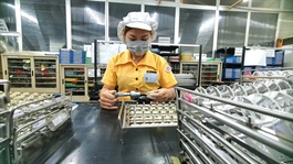 Japanese FDI supports green transition in Việt Nam's manufacturing sector